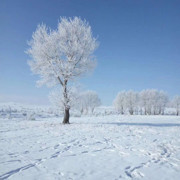 嗯，逛逛又逛