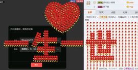 海鸽晚上见主播照片
