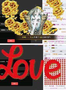 海鸽晚上见主播照片