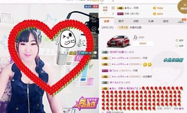 一只雁~主播照片