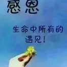 淡然8h的头像