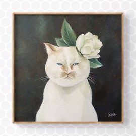 痴吃的猫主播照片
