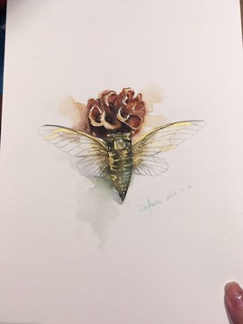 痴吃的猫主播照片