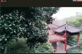 大强a岭南风情主播照片