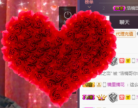 58426685主播照片