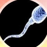 春风十里不如你⑥