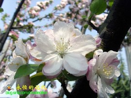 *回家吃饭*主播照片