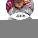 张训涛p