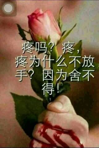 晴￥晴的主播照片