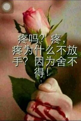 晴￥晴主播照片