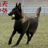 等待只为与你相遇e海报