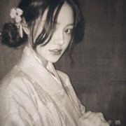两落青杉