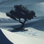 你是一颗小小的石头