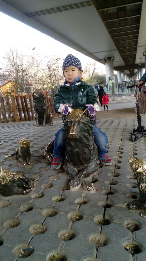 昌平南辛路的主播照片