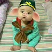 520~~🐷哥海报