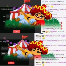 海鸽晚上见主播照片