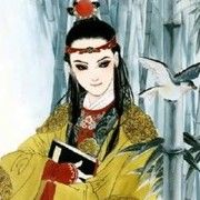 《怡红公子》
