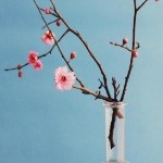一路陪伴y海报