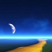 ☜飞翔的小鸟