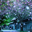 林宇e5