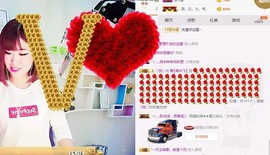 一只雁~主播照片