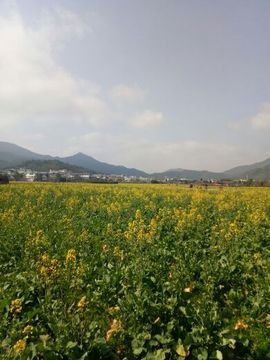 《随心随性随缘》主播照片