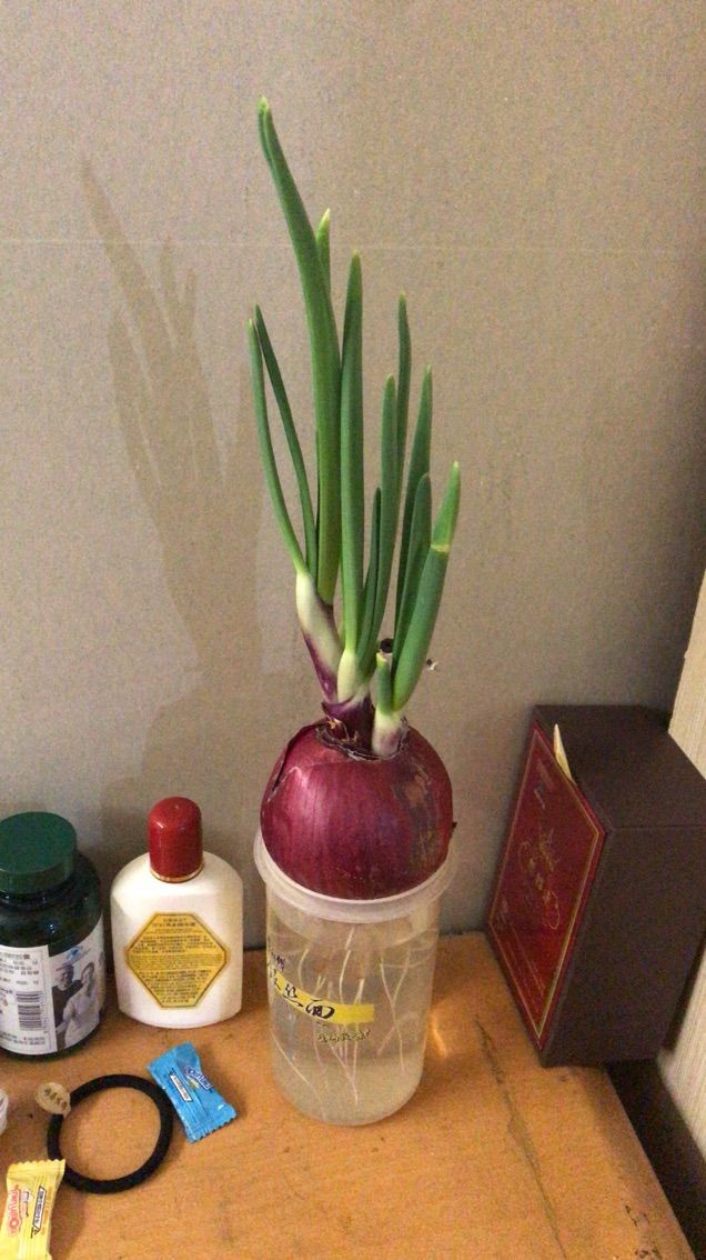 烟花心情的主播照片
