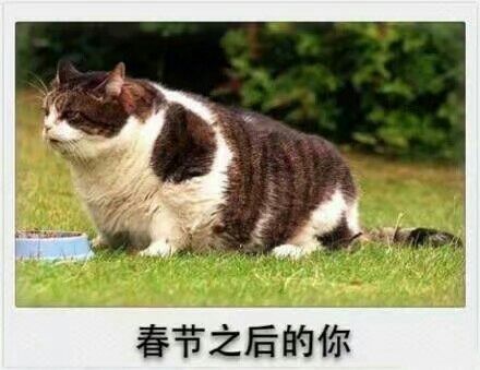 北海没有猫a的主播照片