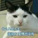 昵称违规，请重新修改