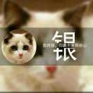 猫哥p