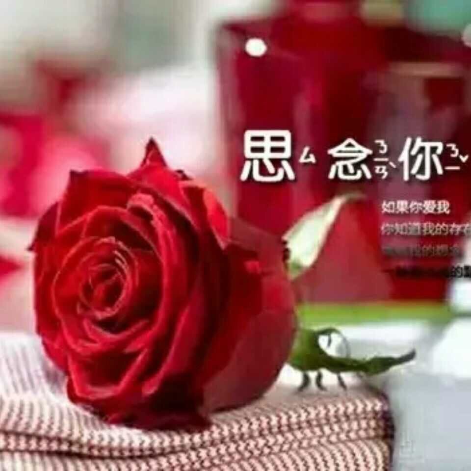 菲儿or的主播照片