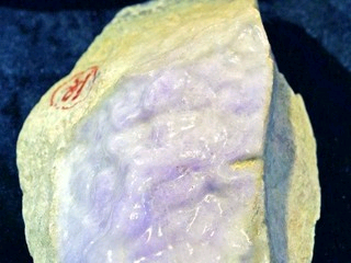 应某某的主播照片