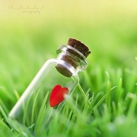 乖“我们的回忆，😘主播照片