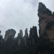 娃哈哈.海报
