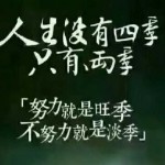 無訁的结局海报