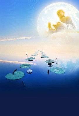 ╰╰╮飘过╭╯╯主播照片