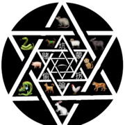 七间房.con的头像