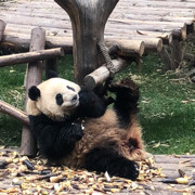 人心—-