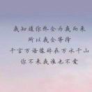 辅助大师