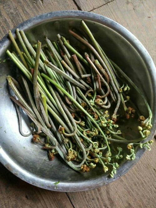 慧慧天使主播照片