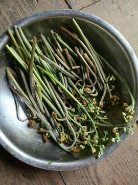 慧慧天使主播照片