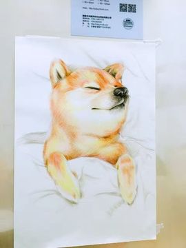 金妍🌸主播照片
