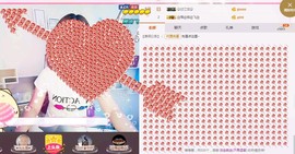 一只雁~主播照片