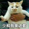 无敌薇薇