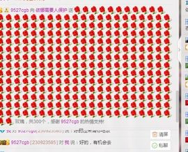 依娜求守护主播照片