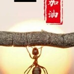 昵称违规，请重新修改