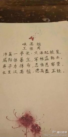 傲世英雄6主播照片