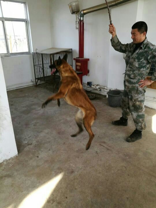 li相信自己的主播照片