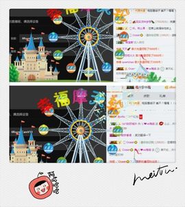 海鸽晚上见主播照片