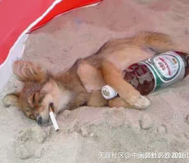 ✨响铃儿🌙主播照片